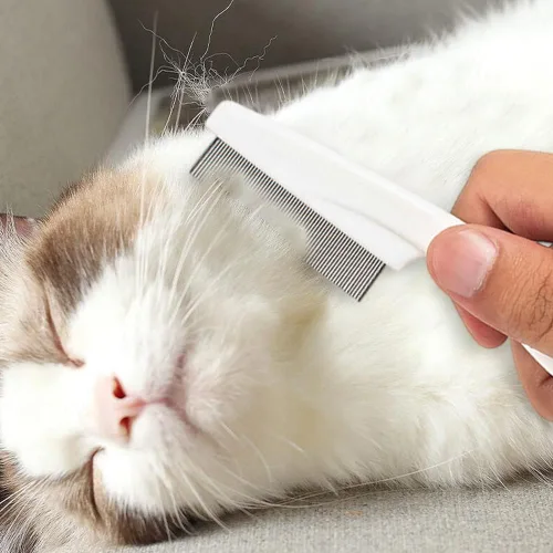 Miniatura 6 de Paquete de 2 peines multifuncionales para mascotas, cepillo de aseo para mascotas, eliminación de manchas de lágrimas mágicas finas, kit de peine