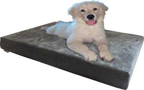 Miniatura 22 de Dogbed4less Cama ortopédica para mascotas con espuma viscoelástica para mascotas medianas y grandes, forro impermeable, funda lavable de microgamuza