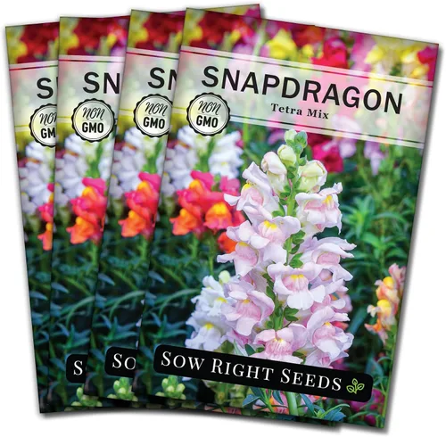 Miniatura 9 de Sow Right Seeds - Semillas de snapdragon mix tetra para plantar - Paquete sin OMG y reliquia con instrucciones para cultivar - Espigas anuales