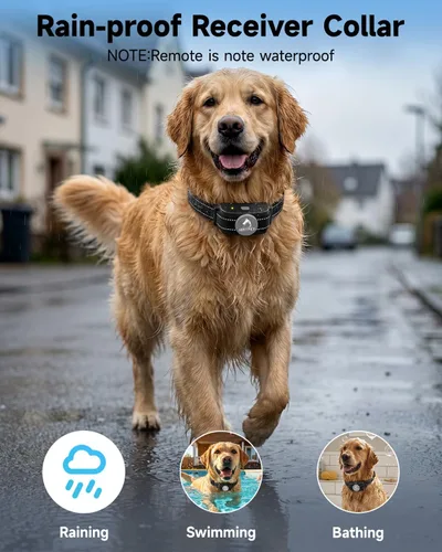 Miniatura 5 de PATPET Collar de choque para perros con 2 receptores, collar de entrenamiento para perros con control remoto, collar de perro eléctrico con pitido