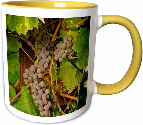 Miniatura 12 de 3dRose Danita Delimont – Vineyards – Estados Unidos, Oregón, Keizer, Pinot Gris Vineyard – US38 RBR0729 – Rick A Brown – Tazas, Negro/Blanco