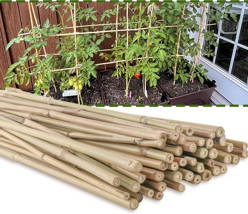 50 varillas de bambú natural de 4 pies para plantas de jardín, estacas de apoyo para plantas de interior, tomate, plantas en maceta..