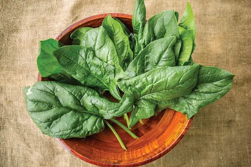Miniatura 2 de Burpee A La Carte Hybrid Spinach Seeds 300 semillas
