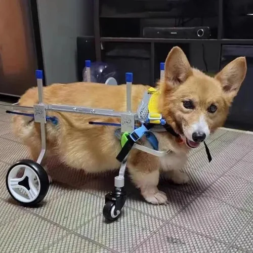 Silla de ruedas para perros, carrito de apoyo completo para discapacitados, patas delanteras/traseras, ajustable para silla de ruedas para mascotas,