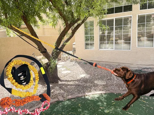 Miniatura 2 de Juguete elástico para perros de 20.35 pies con cuerda interactiva reforzada con dos recambios de repuesto, juguetes interactivos para perros