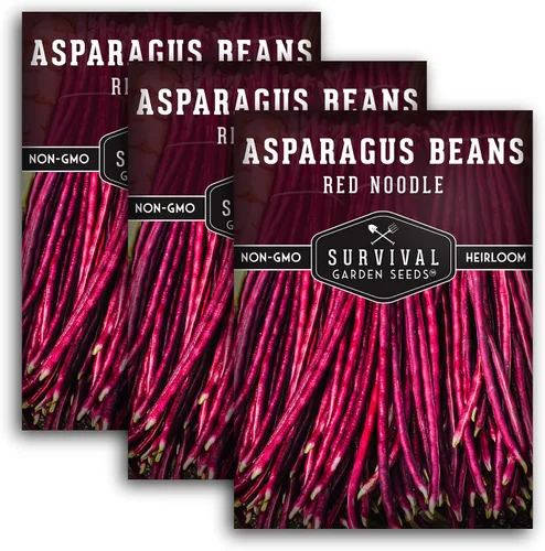 Miniatura 10 de Yardlong - Semillas de frijoles para plantar, semillas de frijoles espárragos de fideos rojos, vainas rojas extralargas en vides trepadoras amantes