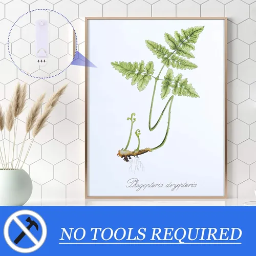 Miniatura 6 de Jetec 20 ganchos para fotos, sin daños, tiras adhesivas, sin clavos, ganchos adhesivos para el hogar, baño, cocina, puerta, armario, color blanco