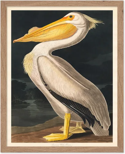 Miniatura 57 de Poster Master Vintage James Audubon Póster - Impresión Retro de Cuervo - Arte de Aves de América - Arte de Aves - Regalo para Hombres, Mujeres