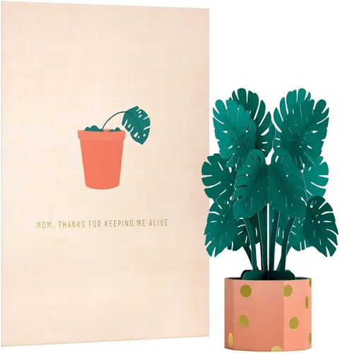 Miniatura 12 de Lovepop - Tarjetas de felicitación para el día de la madre, tarjetas 3D emergentes, para mamá, esposa Flores del Día de la Madre