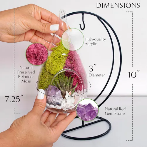 Miniatura 3 de Creations by Nathalie Kit de terrario casero de 18 cm en forma de lágrima con plantas vivas - Maceta colgante de vidrio con soporte para adultos