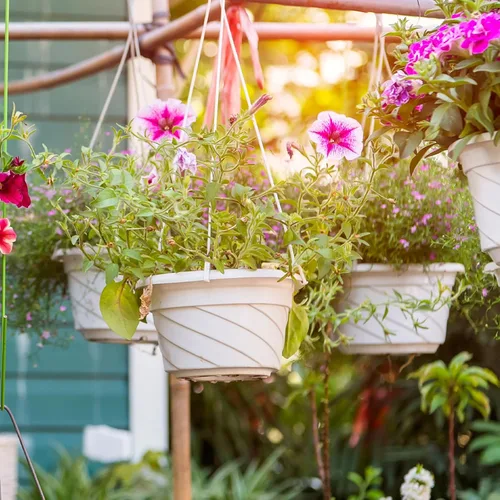 Miniatura 7 de EBOOT 16 piezas de plantas colgantes al aire libre de 7 pulgadas, macetas colgantes a granel para plantas con agujero de drenaje, macetas para Blanco