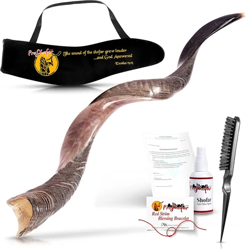 Juego de Shofar Kudu medio pulido Kosher de Israel, más bolsa, certificado oficialmente firmado, cuerno de Shofar Kosher hecho en Israel