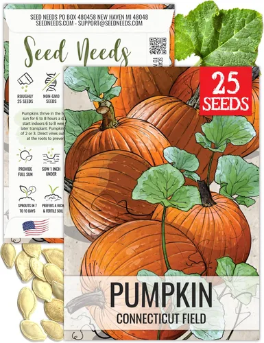 Miniatura 25 de Seed Needs, Jack O' Lantern - Semillas de calabaza – 25 semillas tradicionales para plantar Cucurbita Pepo – Sin OMG y sin tratar, ideal para tallar