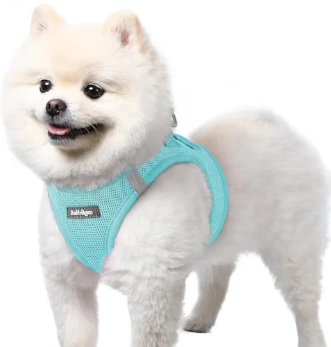 Miniatura 41 de rabbitgoo Arnés para perro pequeño, chaleco de malla suave para cachorros con hebilla de seguridad, arnés reflectante transpirable para mascotas