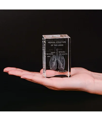 Miniatura 4 de Ultrassist Modelo 3D de Pulmón Humano de Cristal, Modelo Anatómico Grabado Láser para Decoración de Hogar y Oficina, Regalos para Neumólogos