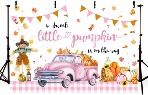 Miniatura 4 de AIBIIN Telón de fondo de calabaza para baby shower de 7 x 5 pies para niñas, otoño y otoño, decoración de fiesta de baby shower, coche rosa