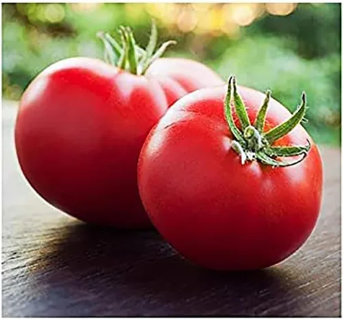 Semillas de tomate Marglobe - Tomate grande - Uno de los tomates más deliciosos para el cultivo doméstico, más de 200 semillas
