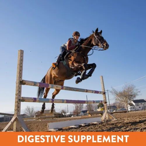 Miniatura 4 de Suplemento de apoyo gástrico para caballos con Omega 3 Alivia úlceras, suplemento calmante, magnesio y otros minerales vitales polvo, cubo de 20
