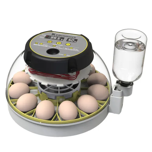 KEBONNIXS Incubadora de 12 huevos con pantalla de humedad, velador de huevos, girador automático de huevos, para incubar pollos