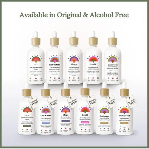 Miniatura 5 de Rainbo Paquete energético de hongos sin alcohol + rendimiento, hongo melena de león + cordyceps, tinturas diarias para apoyo inmunológico