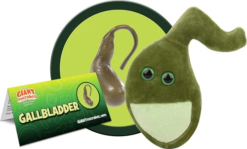 Miniatura 2 de GIANT MICROBES Peluche de vesícula biliar, artículos de recuperación de cirugía de vesícula biliar, artículos imprescindibles para la cirugía