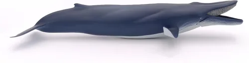 Miniatura 9 de Papo - Figura realista de ballena azul para niños - A partir de 3 años - Colección de vida marina - Juego educativo de mamíferos marinos - Juguete