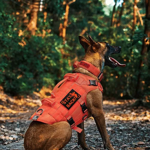Miniatura 5 de OneTigris - Arnés táctico grande para perros, chaleco ajustable para perros sin tirones, arnés resistente para perros con asa, grandes paneles