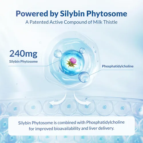 Miniatura 6 de Suplemento máximo de cardo mariano para apoyo hepático - 720 mg de fitosoma de silibina (absorción 10X) - Limpieza hepática desintoxicación