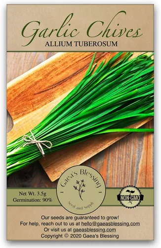 Gaea's Blessing Semillas - Semillas de cebollino de ajo (0.05 oz) Sin OMG de alto rendimiento de polinización abierta Heirloom Chinese Leek 90% Tasa