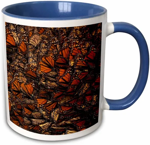 Miniatura 10 de 3dRose Taza de café, tamaño - 15oz - México. Mariposa monarca (Danaus plexippus) - SA13 GJE0047 - Gavriel Jecan Butterflies - divertido regalo