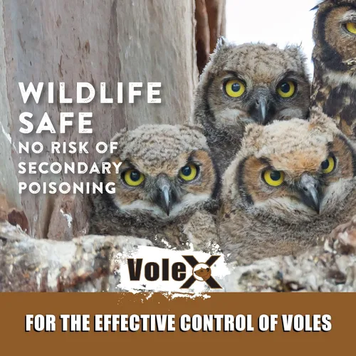 Miniatura 10 de VoleX - Eficaz contra todas las especies de ratas de campo. Seguro para uso alrededor de personas, mascotas, ganado y vida silvestre