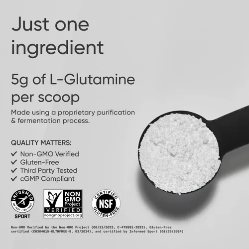 Miniatura 2 de Sports Research L-Glutamina - Recuperación de Entrenamiento, Salud Inmunológica y Apoyo a la Salud Intestinal - 5 G por Porción - 17.64 Oz (500 g)