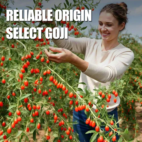 Miniatura 3 de Ternio Organics - Bayas de Goji - 8.2oz/232g - 100% Bayas de Goji Naturales - Sin Sulfatos ni Aditivos - Bayas Grandes - Adecuadas para Hacer Té