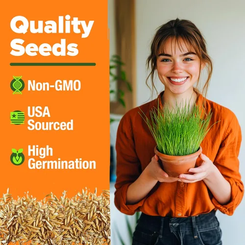 Miniatura 2 de HOME GROWN Mezcla de 3 semillas de hierba para gatos – Semillas de avena, alfalfa y hierba de gato sin OMG Hierba interior para gatos Verdes