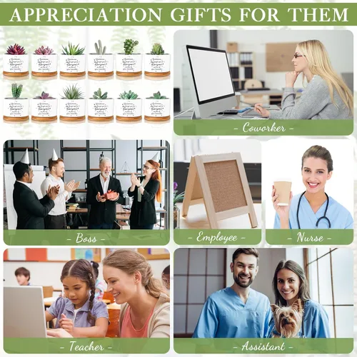 Miniatura 3 de 12 macetas inspiradoras para suculentas, regalo de agradecimiento a granel para mujeres, empleadas, profesores, compañeras de trabajo, Sometimes You