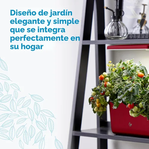 Miniatura 3 de AeroGarden Harvest Lite en color rojo cereza, jardín hidropónico interior sin tierra con luz LED de cultivo para jardinería durante todo el año
