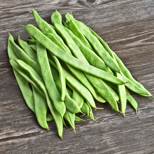 Miniatura 3 de Eden Brothers Semillas de frijol (arbusto) - Semillas Landreth sin hilos sin OMG para plantar, 1 onza Semillas vegetales de alto rendimiento