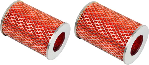 Carter 5133021 - Filtro de aire de 150 cc para motor GY6, paquete de 2 unidades, 150 SS, 150 GT, GTS150, 6.000.151