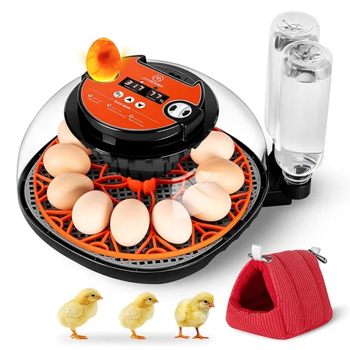 Incubadora de 12 huevos para incubar, pollo, pato, codorniz y ganso, girador automático de huevos, control de temperatura y humedad, pantalla LED