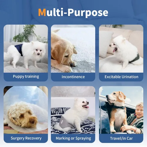 Miniatura 2 de Vecomfy Bandas para el Vientre para Pañales de Perros Machos (Paquete de 5), Premium Lavables Reutilizables Envolturas Medianas para el Vientre