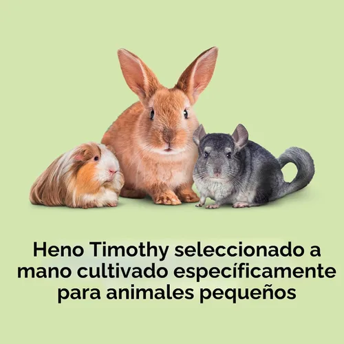 Miniatura 2 de Kaytee Heno Timothy, alto en fibra, cultivado específicamente para animales pequeños, conejos, cobayas, chinchillas, pedido a granel ideal