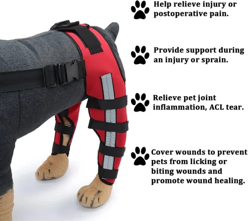 Miniatura 8 de Rodillera ajustable para perro con doble pierna trasera con bisagras de metal soporte flexible y cinturones de seguridad reflectantes, soporte