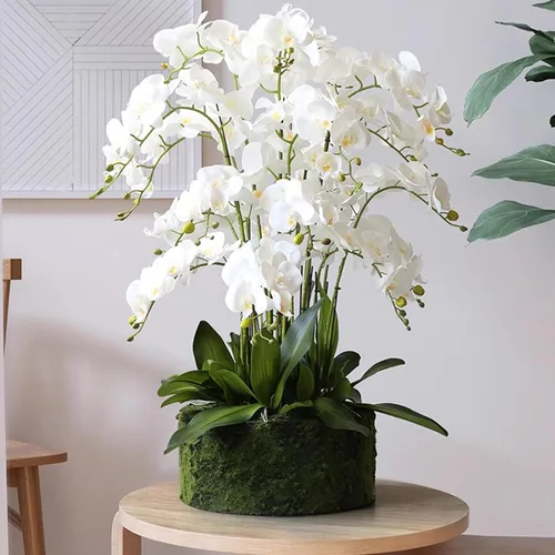 Miniatura 5 de HinyoCo 5 piezas de flores artificiales de orquídea, flores artificiales de Phalaenopsis de 32 pulgadas para decoración del hogar y boda (blanco)