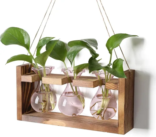 Miniatura 14 de Estación de Propagación de Plantas Terrario de Plantas Regalos Únicos de Cumpleaños para Mujeres Decoración para Hogar y Oficina Maceta con Soporte