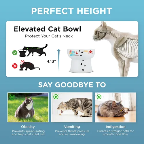 Miniatura 4 de Necoichi Cuenco elevado de agua para gatos, cuenco elevado de cerámica para gatos, evita la fatiga del cuello y los bigotes, apto para lavavajillas