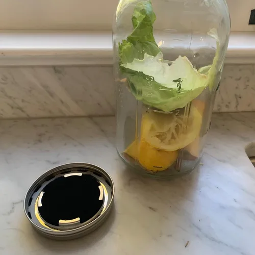 Miniatura 2 de Jarware Tapa de tarro de masón, tapa de compost de acero inoxidable para tarros Mason de boca ancha, con 4 filtros de carbón