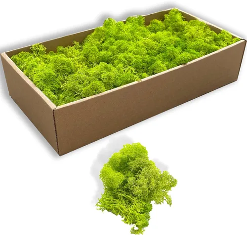 Miniatura 14 de Musgo artificial preservado de 1.1 libras para plantas en maceta, musgo verde fresco natural para manualidades, musgo artificial, orquídea floral
