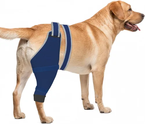 Miniatura 11 de Funda para perro para patas traseras para dejar de lamer, manga de recuperación quirúrgica mejorada para heridas de piernas traseras y traseras