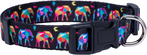 Miniatura 6 de Native Pup Collar de perro con estampado de animales, patrón de peces de trucha de arroyo, regalo para pescador, cachorro al aire libre