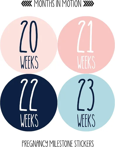 Miniatura 4 de Calcomanías semanales de crecimiento del embarazo, de semana a semana, embarazada esperando fotos, recuerdo de maternidad, panza de bebé